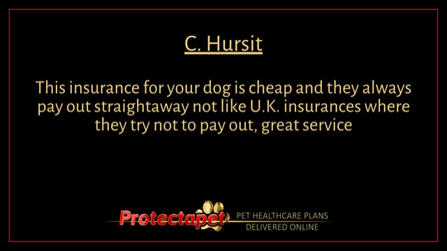 Protectapet Client Review